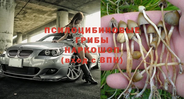 эйфоретик Абинск