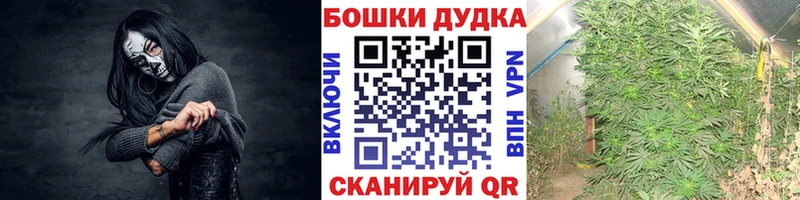 Марихуана конопля Сольцы
